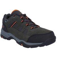 https://www.burton.co.uk/product/hi-tec-bandera-ii-low-mens-hiking-shoes_p-a0a71e27-cfe2-445c-9b69-3464df17be17?colour=Grey&size=8