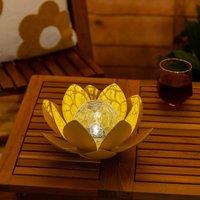 https://www.burton.co.uk/product/valuelights-waterlily-solar-powered-outdoor-lotus-flower-decoration-garden-light_p-16ec5132-9b7a-4e02-b5ce-83b9ff80cf27?colour=Yellow&size=One%20Size