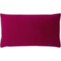 https://www.burton.co.uk/product/paoletti-sunningdale-soft-velvet-cushion_p-817db381-2ce4-40a2-9397-dc30d7b4a015?colour=Cerise&size=30cm%20x%2050cm