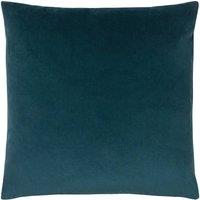 https://www.burton.co.uk/product/paoletti-sunningdale-soft-velvet-cushion_p-fe212bda-5bc0-4338-8b95-748e8239ce7b?colour=Teal&size=50cm%20x%2050cm