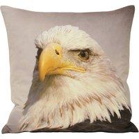 https://www.burton.co.uk/product/paoletti-animal-eagle-photographic-print-cushion_p-d63df52a-3700-4f7c-a9ef-c07321a5349e?colour=Grey&size=45cm%20x%2045cm