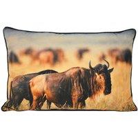 https://www.burton.co.uk/product/paoletti-wildebeest-photographic-print-cushion_p-2b504015-e6d3-45fe-b763-910f983c63e7?colour=Tan&size=40cm%20x%2060cm