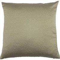 https://www.burton.co.uk/product/paoletti-palermo-sateen-cushion_p-3f6115f2-9a48-448f-9ef1-ecf964e6ec12?colour=Light%20Grey&size=45cm%20x%2045cm