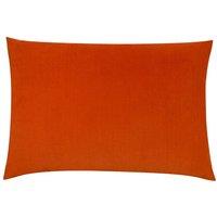 https://www.burton.co.uk/product/furn-contra-soft-velvet-contrast-coloured-reverse-cushion_p-83a2bd5f-d59f-400a-a86c-537fbe13ec7d?colour=Tangerine&size=40cm%20x%2060cm