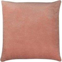 https://www.burton.co.uk/product/furn-tanda-soft-velvet-cushion_p-880a9228-dad1-4cc0-bb68-2aa79a129fb8?colour=Pink&size=50cm%20x%2050cm