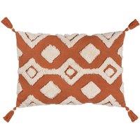 https://www.burton.co.uk/product/furn-dharma-tufted-cotton-tasselled-polyester-filled-cushion_p-31026c43-dfc1-4a65-8966-95cf669032de?colour=Red&size=One%20Size