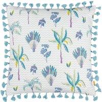 https://www.burton.co.uk/product/furn-chamae-floral-tasselled-polyester-filled-cushion_p-45a9fa19-ac8e-4a1d-8c55-8f58773db0a2?colour=Lilac&size=50cm%20x%2050cm