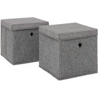 OHS 2 x Fabric Storage Boxes with Lid Foldable Square Organiser in Charcoal