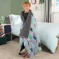 https://www.burton.co.uk/product/ohs-weighted-blanket-kids-dino-sensory-sleep-therapy-anxiety-soft-teddy-fleece-throw_p-a3757073-4bed-448d-8bc1-c2a90d97b673?colour=Grey&size=One%20Size
