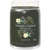 https://www.burton.co.uk/product/yankee-candle-silver-sage-pine-signature-large-jar-candle_ydd13256?colour=multi&size=One%20Size
