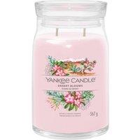 https://www.burton.co.uk/product/yankee-candle-signature-large-jar-desert-blooms_ydd14876?colour=multi&size=One%20Size