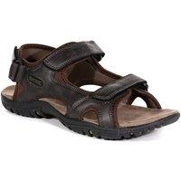 Regatta Men Haris Lightweight Walking Sandals in Dark Brown | Size: 11