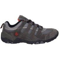 https://www.burton.co.uk/product/hi-tec-quadra-ii-shoes_p-45a6de83-684d-4b2d-9c8d-793eddeff118?colour=Grey&size=9