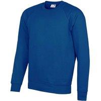 AWDis Men Academy Crew Neck Raglan Sweatshirt in Royal | Size: large