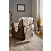 https://www.burton.co.uk/product/deyongs-luxury-soft-cosy-warm-fleece-sherpa-large-mixed-dogs-throw-140x180cm_p-510fe0e8-ae26-4bf6-87d3-0b117adfb788?colour=Beige&size=140cm%20x%20180cm
