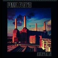 Pink Floyd Animals Fridge Magnet in Black