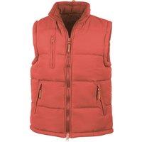 https://www.burton.co.uk/product/result-ultra-padded-bodywarmer-water-repellent-windproof-jacket_p-247f30d0-277a-4774-a829-195097e0ca1a?colour=Red&size=M