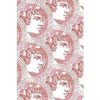 https://www.burton.co.uk/product/bobbi-beck-eco-friendly-ancient-greek-motif-wallpaper_p-44c1a971-effd-48d2-afa5-f3e32c610098?colour=Pink&size=One%20Size