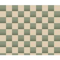 https://www.burton.co.uk/product/bobbi-beck-eco-friendly-checkerboard-wallpaper_p-a731fad8-aac6-4c06-8908-e83232a5ea3a?colour=Green&size=One%20Size