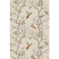 https://www.burton.co.uk/product/bobbi-beck-eco-friendly-bird-tree-wallpaper_p-2d8aa930-f963-443e-8522-f0b269f70ae0?colour=Beige&size=One%20Size