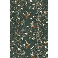 https://www.burton.co.uk/product/bobbi-beck-eco-friendly-bird-tree-wallpaper_p-2d8aa930-f963-443e-8522-f0b269f70ae0?colour=Dark%20Green&size=One%20Size