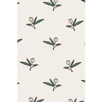 https://www.burton.co.uk/product/bobbi-beck-eco-friendly-olive-pattern-wallpaper_p-b33b4fe3-54aa-44c0-80af-1e310c33c4ba?colour=Beige&size=One%20Size