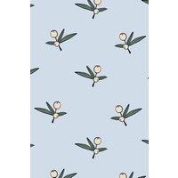 https://www.burton.co.uk/product/bobbi-beck-eco-friendly-olive-pattern-wallpaper_p-b33b4fe3-54aa-44c0-80af-1e310c33c4ba?colour=Blue&size=One%20Size