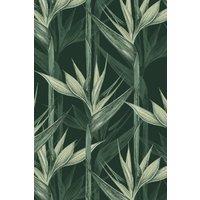 https://www.burton.co.uk/product/bobbi-beck-eco-friendly-tropical-bird-of-paradise-wallpaper_p-df25ba88-97a6-4c16-bc87-e6b471cf8f0b?colour=Green&size=One%20Size