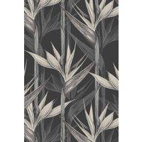 https://www.burton.co.uk/product/bobbi-beck-eco-friendly-tropical-bird-of-paradise-wallpaper_p-df25ba88-97a6-4c16-bc87-e6b471cf8f0b?colour=Grey&size=One%20Size