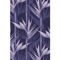 https://www.burton.co.uk/product/bobbi-beck-eco-friendly-tropical-bird-of-paradise-wallpaper_p-df25ba88-97a6-4c16-bc87-e6b471cf8f0b?colour=Purple&size=One%20Size