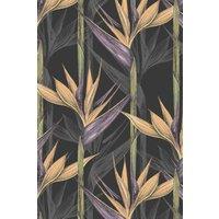 https://www.burton.co.uk/product/bobbi-beck-eco-friendly-tropical-bird-of-paradise-wallpaper_p-df25ba88-97a6-4c16-bc87-e6b471cf8f0b?colour=Orange&size=One%20Size
