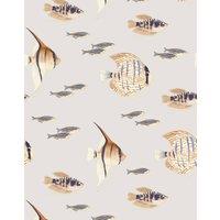 https://www.burton.co.uk/product/bobbi-beck-eco-friendly-tropical-fish-wallpaper_p-28f51f92-86b9-447a-b912-0952fc9a4f4f?colour=Beige&size=One%20Size