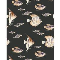 https://www.burton.co.uk/product/bobbi-beck-eco-friendly-tropical-fish-wallpaper_p-28f51f92-86b9-447a-b912-0952fc9a4f4f?colour=Black&size=One%20Size