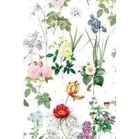 https://www.burton.co.uk/product/bobbi-beck-eco-friendly-vintage-floral-wallpaper_p-12b233c3-ddd4-472a-9acf-e4d59e2769b1?colour=White&size=One%20Size