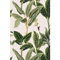 https://www.burton.co.uk/product/bobbi-beck-eco-friendly-vintage-tropical-wallpaper_p-22fd376d-38e5-4023-9d11-b3fee5e45197?colour=White&size=One%20Size
