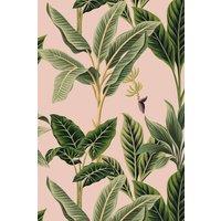 https://www.burton.co.uk/product/bobbi-beck-eco-friendly-vintage-tropical-wallpaper_p-22fd376d-38e5-4023-9d11-b3fee5e45197?colour=Pink&size=One%20Size