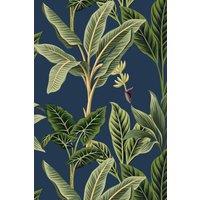 https://www.burton.co.uk/product/bobbi-beck-eco-friendly-vintage-tropical-wallpaper_p-22fd376d-38e5-4023-9d11-b3fee5e45197?colour=Navy&size=One%20Size