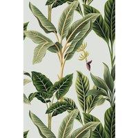 https://www.burton.co.uk/product/bobbi-beck-eco-friendly-vintage-tropical-wallpaper_p-22fd376d-38e5-4023-9d11-b3fee5e45197?colour=Green&size=One%20Size