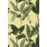 https://www.burton.co.uk/product/bobbi-beck-eco-friendly-vintage-tropical-wallpaper_p-22fd376d-38e5-4023-9d11-b3fee5e45197?colour=Yellow&size=One%20Size