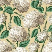 https://www.burton.co.uk/product/bobbi-beck-eco-friendly-hydrangea-wallpaper_p-f6726f49-f685-406c-8024-bfe0f5cda19f?colour=Yellow&size=One%20Size