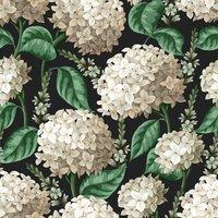 https://www.burton.co.uk/product/bobbi-beck-eco-friendly-hydrangea-wallpaper_p-f6726f49-f685-406c-8024-bfe0f5cda19f?colour=Black&size=One%20Size