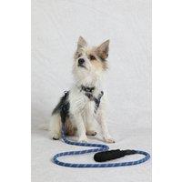 https://www.burton.co.uk/product/weird-fish-wilf-reflective-rope-dog-lead_p-789e2939-f905-4b9b-b02f-b5e7450e3bf7?colour=Light%20Blue&size=One%20Size