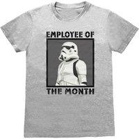 https://www.burton.co.uk/product/star-wars-employee-of-the-month-stormtrooper-t-shirt_p-c4f7fcc4-69d3-4e3c-b44f-c0a88119a8e1?colour=Grey&size=XL