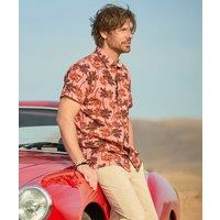 https://www.burton.co.uk/product/joe-browns-palm-tree-print-short-sleeve-shirt_p-cc298a60-d82f-4373-979b-3f2fa946d1b9?colour=Pink&size=S