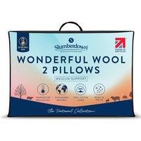 https://www.burton.co.uk/product/slumberdown-2-pack-wonderful-wool-medium-support-back-side-sleeper-pillows_p-9397f9b9-91cd-4848-9cdd-7994c2647230?colour=White&size=One%20Size