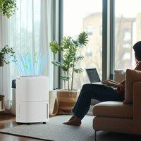 HOMCOM 20L/Day Dehumidifier with Continuous Drainage, 5L Water Tank, Timer in White