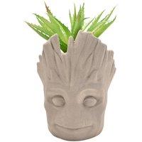 Disney Marvel Groot Planter With Faux Plant in Grey