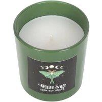https://www.burton.co.uk/product/something-different-luna-moth-white-sage-scented-candle_p-a575f63d-f13e-4f2e-8d46-fc8a5af8ca01?colour=White&size=One%20Size