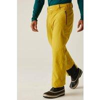 https://www.burton.co.uk/product/dare-2b-achieve-ii-waterproof-ski-pants_p-2ec75cb4-77a0-465c-bbc2-c7586711e6d9?colour=Gold&size=L