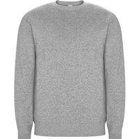 ROLY Men Batian Crew Neck Sweatshirt in Grey | Size: X-Small